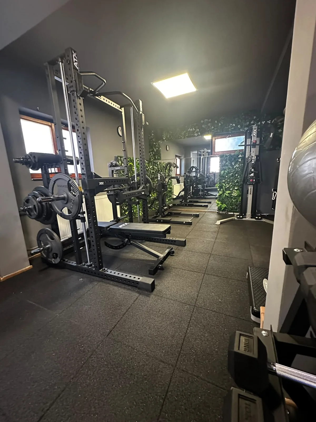 Modern gym equipment in main training area