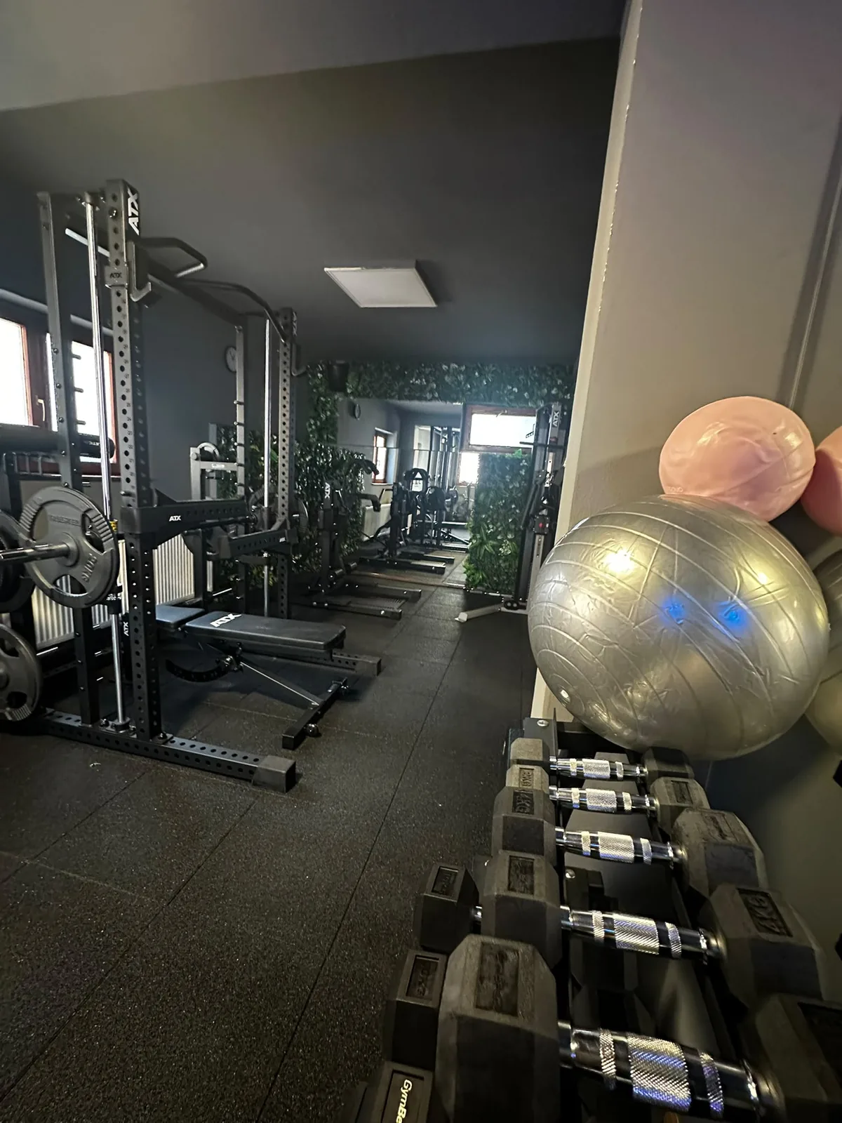 Modern gym equipment in main training area