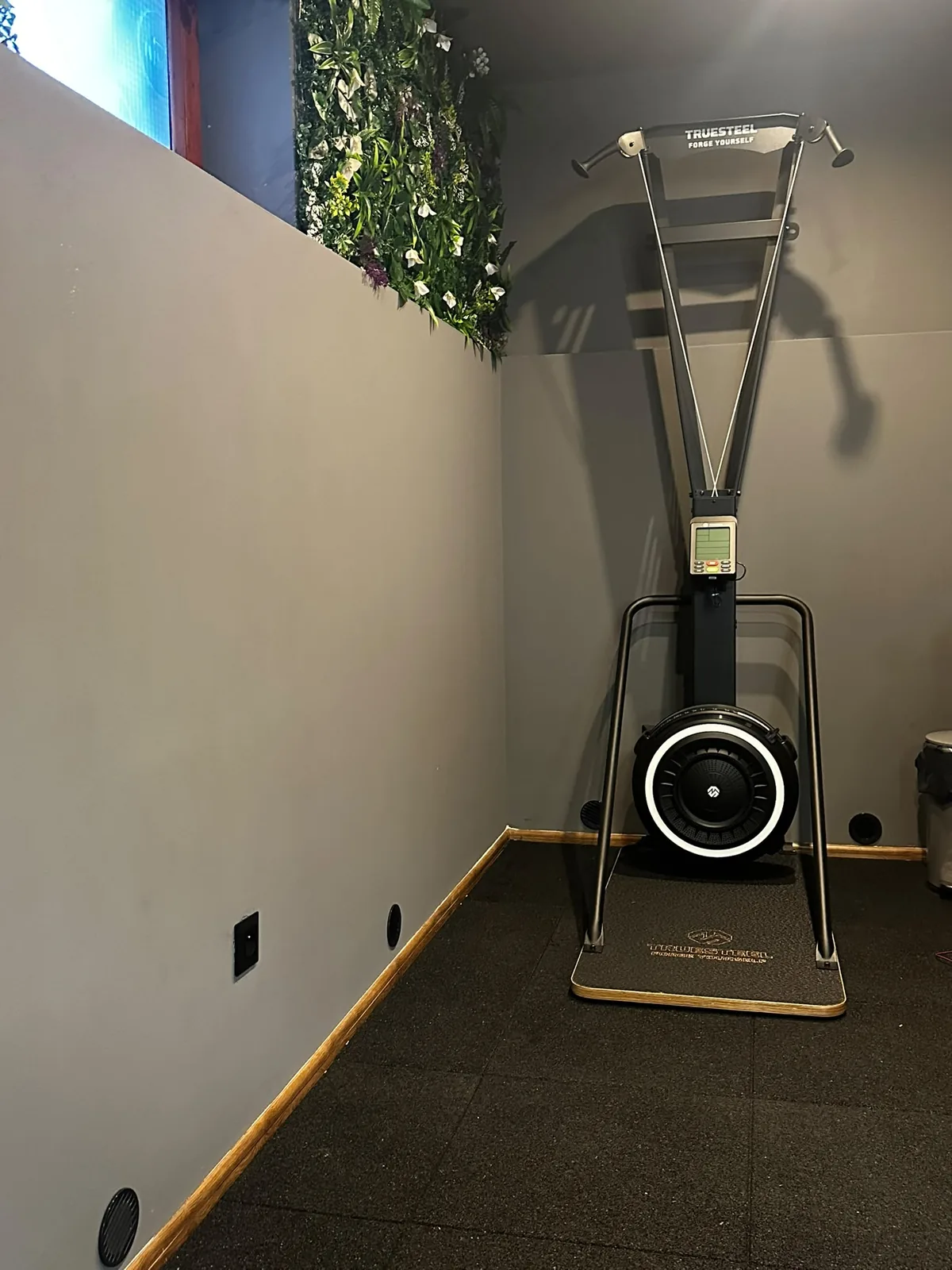Modern gym equipment in main training area